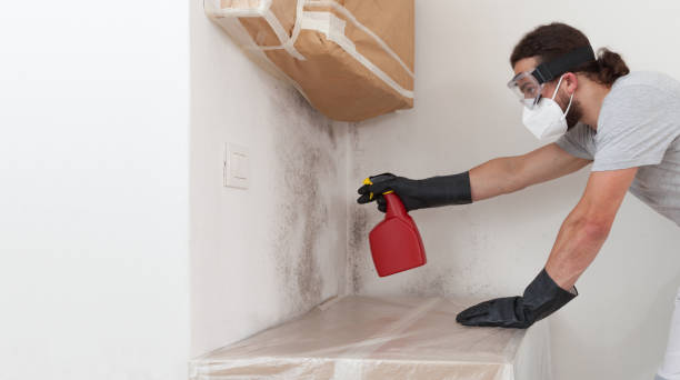 Professional Mold Inspection And Testing technician working in Cedarville, MI