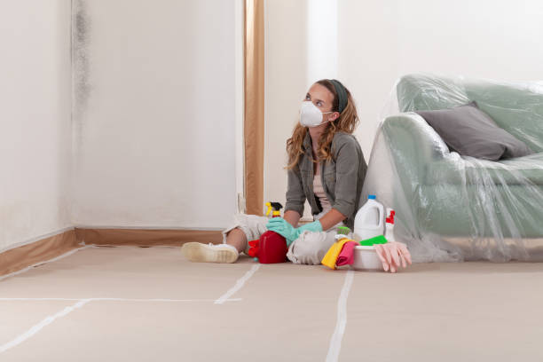 Reliable Mold Inspection And Testing contractor in Cedarville, MI by Mold Remediation HQ